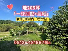 潭子*稀有大地坪*近205［一棟別墅+農地］