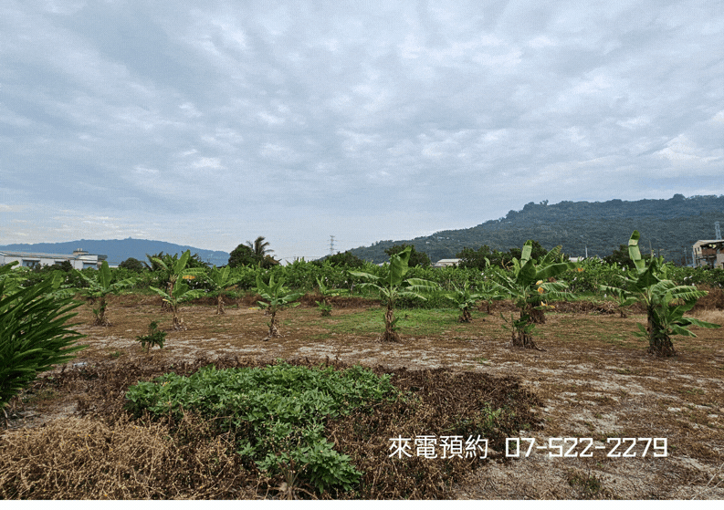 岡山嘉華產業園區內農地