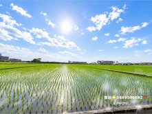 ❤️未來高鐵擴大區農地❣️宜蘭果菜市場旁‼️