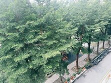 💖專簽~雲門登峰~兩房平車~品味裝潢~樹海居