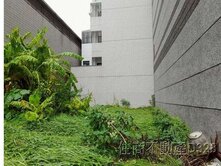 正北區文賢路黃金商圈店面地