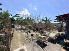 💥獨家專約💥萬丹近88前後路方正農地