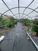 專委*社子國小美田489坪(附合法資材室