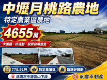 中壢月桃路大面寬臨路農地