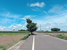 六腳鄉雙面路方正農地