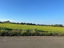 湖口和興段-近市區低總價方正美田