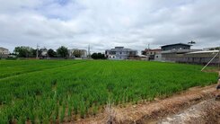 【很慧賣】新豐臨路方正農地~近35米大面寬自用投資