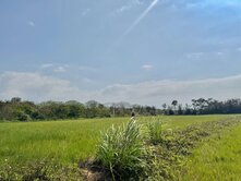 ✳️新屋區3025坪「低於公告現值」超值農地✳️