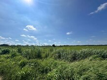 台一線旁4.2分美農地