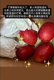 台東釋迦農牧地