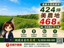 【嘉義太保高鐵旁｜424坪美農地｜低總價入手】