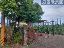 獨賣出價談🌈潮州漂亮農地.臨路有水電