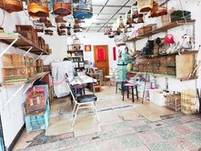 巨蛋優質店面