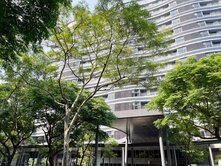 高鐵大兩房｜雙衛開窗｜採光佳｜柱邊平車｜菁英學區