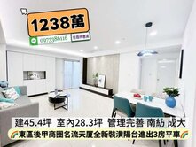 東區後甲商圈名流天廈全新裝潢陽台進出三房平車