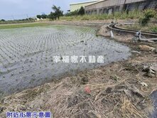 麻豆2.1分有水電美農地