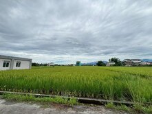 📉員山深洲大道旁●近鰻晏大面寬美農地🀅