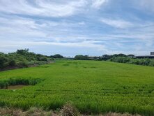 新豐近兩千坪特農大面寬臨路有農證