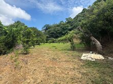 低於實價｜地主賠售｜后里馬場便宜平坦農地｜有水有電
