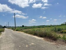 白河區｜白河國中旁都內優質農地