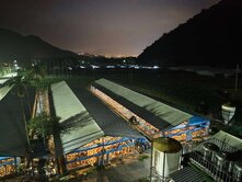 💥埔里鄰路💥合格畜牧登記💖營業中雞場