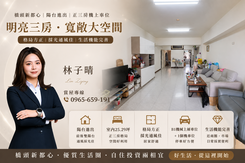 橋頭新都心陽台進出大三房機上車位
