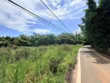 🥇住商-TOP內湖店🏆淡水區興仁段茶香農地