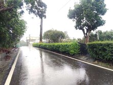 杉林環抱景觀開闊田園小農地(四)