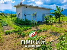 花蓮玉里193縣道綠色隧道美農地+合法資材室