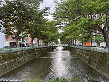 稀有國賓大悅朝西南高樓採光視野四房雙車戶