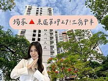 瑋瑋獨家🚩東區單坪27！崇學國小樓下公園三房平車