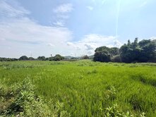 霧峰📍國道六號舊正交流道｜3分農地