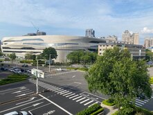 興大國圖館4房平車露台戶