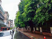 大搶手👍秒殺！大安科技大樓捷運敦南正四維路3房