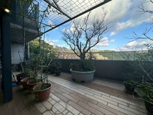 獨家✨國賓山莊前後庭院一樓🐶新店琪琪