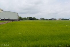 桃園梅楊湖段｜優質特定農業區用地-專約