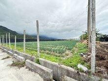 台東 太麻里區大面寬方正農地
