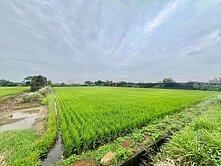 楊湖段6米路方正美農地