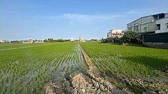 壯圍壯六稀有農建地 9分宜市區車站 土地方正好規劃