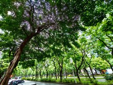 【稀有釋出】四維敦南方正美廈🌳住商仁愛光復店