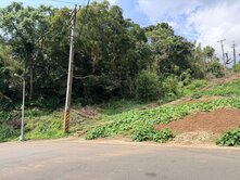 🍎資產傳承優質標地🍎陽明山珍稀土地★住商游佳諭