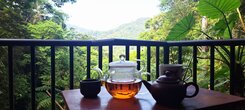 石碇傳家寶地(一)