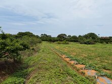 三芝愛不釋手都計內農地