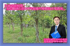 近鳥松國中有水電自用或規劃出租皆宜漂亮農地