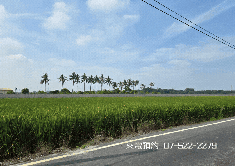 【獨家】路竹捷運未來核心｜樹人段科技增值地