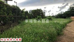 歸仁近大灣高中退休小田園
