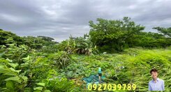 ❤️穎推❤️新屋稀有甲建