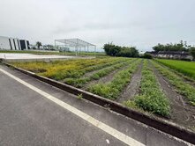 宜蘭玉田方正大面寬農地，附建執照(約27坪)