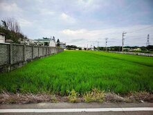彰化線西鄉特定農業區農地