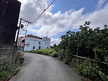 超值 近青埔 A19站 大面寬甲建